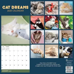 2025 Calendars|TF Publishing 2025 12" x 12" Cat Dreams Wall Calendar (25-1003)