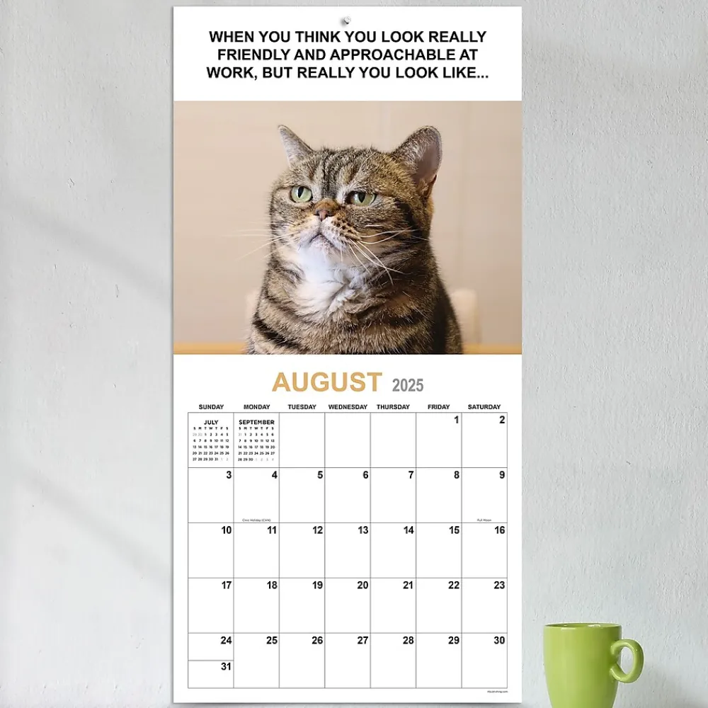 2025 Calendars|TF Publishing 2025 12" x 12" Corporate Cats Wall Calendar (25-1005)