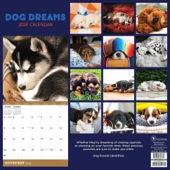 2025 Calendars|TF Publishing 2025 12" x 12" Dog Dreams Wall Calendar (25-1010)