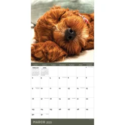 2025 Calendars|TF Publishing 2025 12