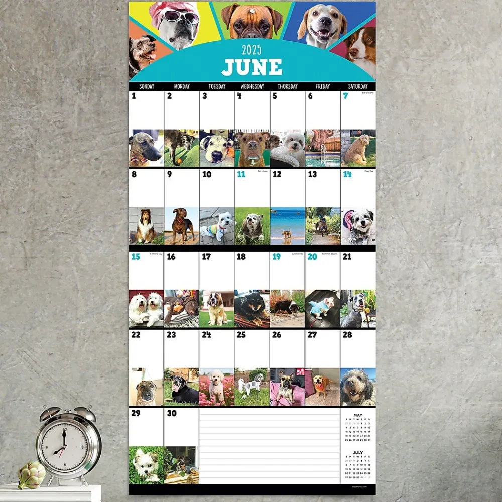 2025 Calendars|TF Publishing 2025 12" x 12" Dog-A-Day Wall Calendar (25-1009)