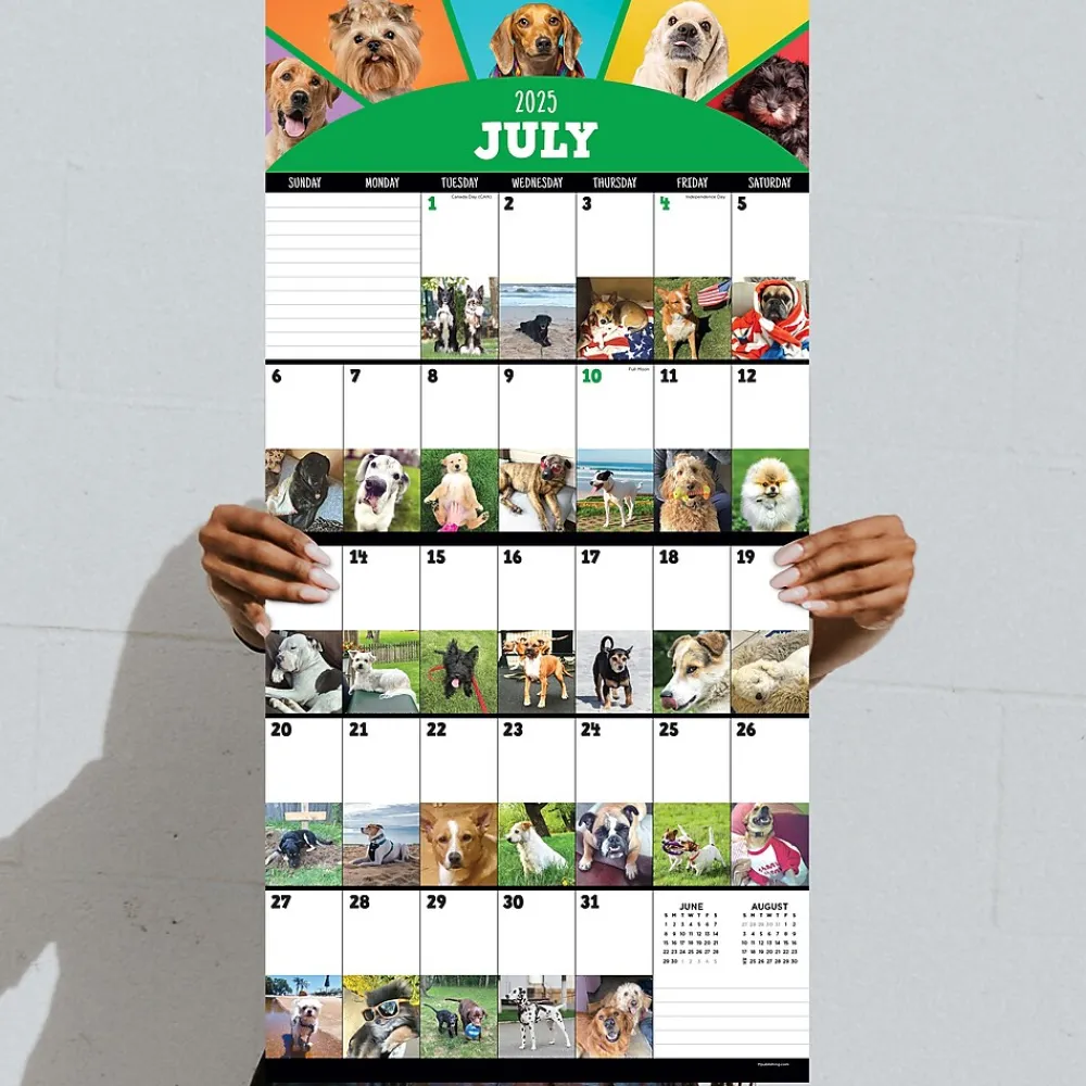 2025 Calendars|TF Publishing 2025 12" x 12" Dog-A-Day Wall Calendar (25-1009)