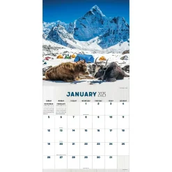 2025 Calendars|TF Publishing 2025 12