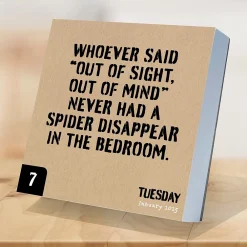 2025 Calendars|TF Publishing 2025 Anti Affirmations 5.25