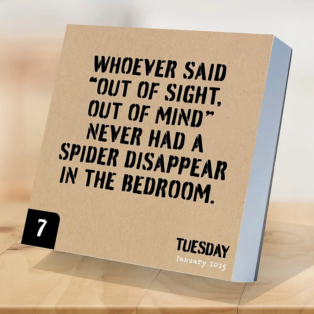 2025 Calendars|TF Publishing 2025 Anti Affirmations 5.25" x 5.25" Day-to-Day Calendar (25-3000)