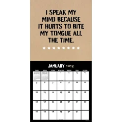 2025 Calendars|TF Publishing 2025 Anti-Affirmations 12
