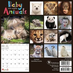 2025 Calendars|TF Publishing 2025 Baby Animals 7" x 7" Monthly Wall Calendar (25-2000)