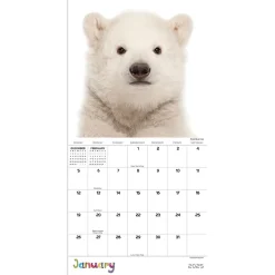 2025 Calendars|TF Publishing 2025 Baby Animals 7
