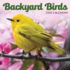 2025 Calendars|TF Publishing 2025 Backyard Birds 7" x 7" Monthly Wall Calendar (25-2013)
