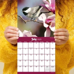 2025 Calendars|TF Publishing 2025 Backyard Birds 7