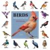 2025 Calendars|TF Publishing 2025 Birds: Backyard and Beyond 12" x 12" Monthly Wall Calendar (25-1121)