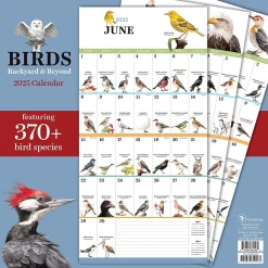 2025 Calendars|TF Publishing 2025 Birds: Backyard and Beyond 12" x 12" Monthly Wall Calendar (25-1121)