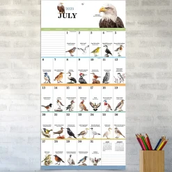 2025 Calendars|TF Publishing 2025 Birds: Backyard and Beyond 12