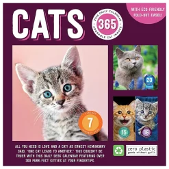 2025 Calendars|TF Publishing 2025 Cat A Day 5.25" x 5.25" Day-to-Day Calendar (25-3002)