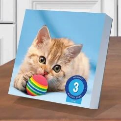 2025 Calendars|TF Publishing 2025 Cat A Day 5.25