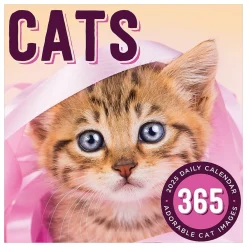 2025 Calendars|TF Publishing 2025 Cat A Day 5.25