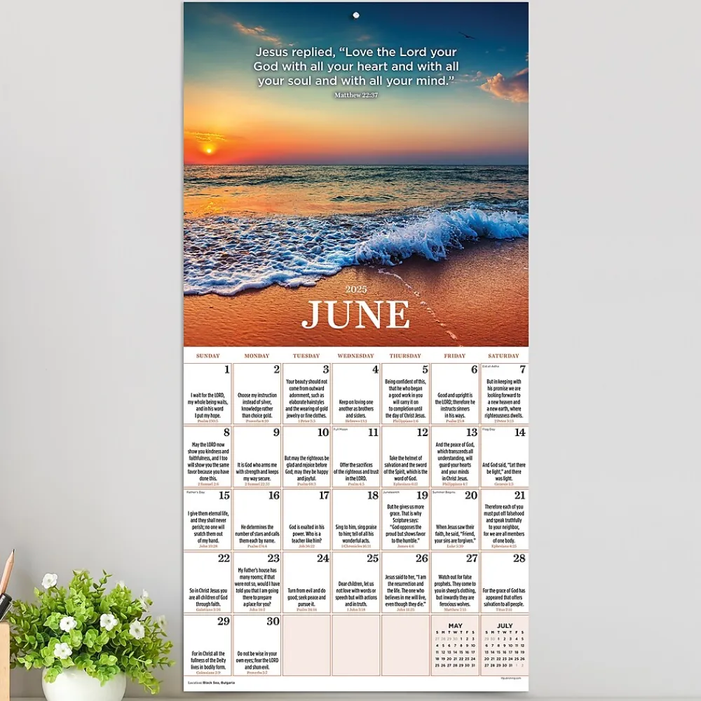 2025 Calendars|TF Publishing 2025 Daily Verse 12" x 12" Monthly Wall Calendar (25-1007)
