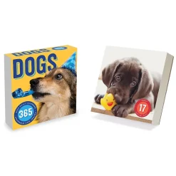 2025 Calendars|TF Publishing 2025 Dog A Day 5.25" x 5.25" Day-to-Day Calendar (25-3008)
