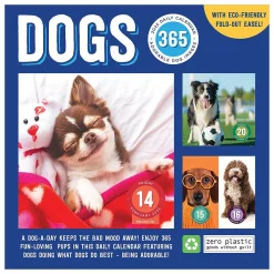 2025 Calendars|TF Publishing 2025 Dog A Day 5.25" x 5.25" Day-to-Day Calendar (25-3008)