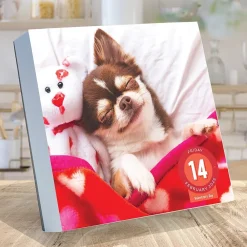 2025 Calendars|TF Publishing 2025 Dog A Day 5.25