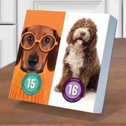 2025 Calendars|TF Publishing 2025 Dog A Day 5.25