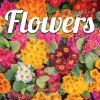 2025 Calendars|TF Publishing 2025 Flowers 12" x 12" Monthly Wall Calendar (25-1034)