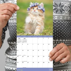 2025 Calendars|TF Publishing 2025 Kittens 7