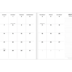 Academic Planners|TF Publishing 2024-2025 Paint Spatter 6.5" x 8" Academic Monthly Planner, Paperboard Cover, Multicolor (AY25-4210)