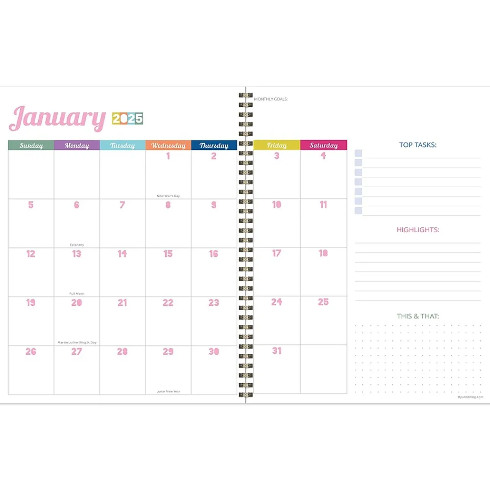 2025 Planners|TF Publishing 2025 Palms & Sunshine 9" x 11" Weekly & Monthly Planner, Paperboard Cover, Multicolored (25-9716)