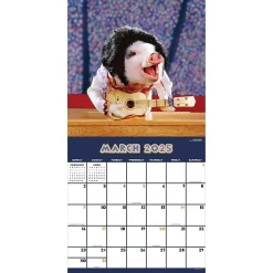 2025 Calendars|TF Publishing 2025 Playful Pigs 12