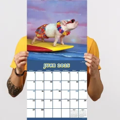 2025 Calendars|TF Publishing 2025 Playful Pigs 12