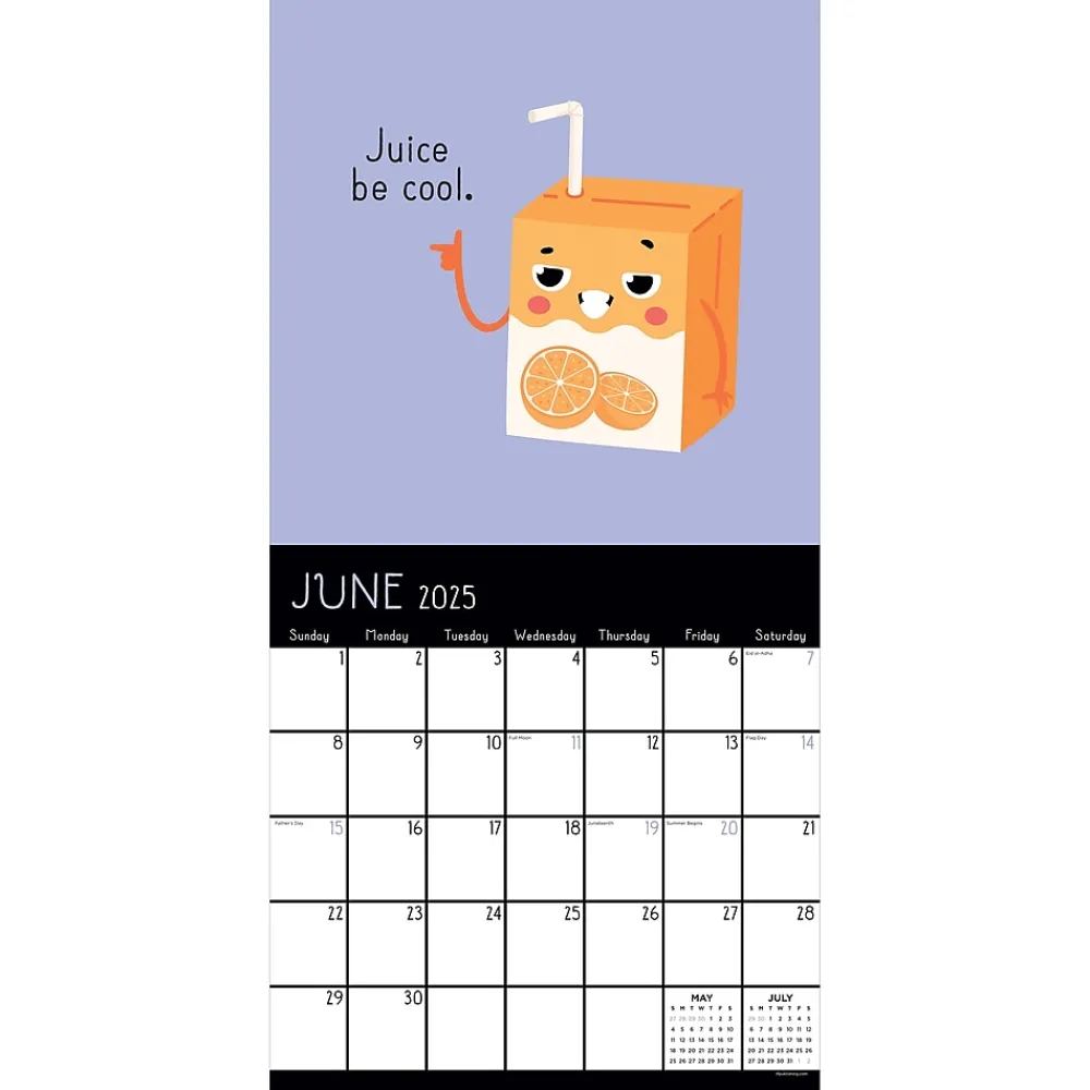 2025 Calendars|TF Publishing 2025 Puns of Fun 12" x 12" Monthly Wall Calendar (25-1117)