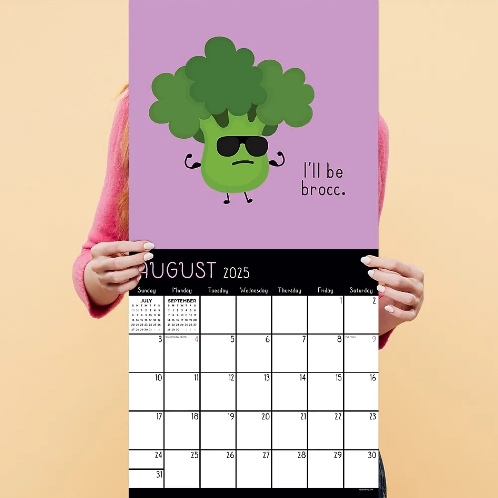 2025 Calendars|TF Publishing 2025 Puns of Fun 12" x 12" Monthly Wall Calendar (25-1117)