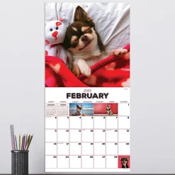 2025 Calendars|TF Publishing 2025 Puppies 12