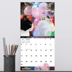 2025 Calendars|TF Publishing 2025 Space Cats 7