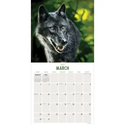 2025 Calendars|TF Publishing 2025 Wolves 12