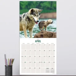 2025 Calendars|TF Publishing 2025 Wolves 12