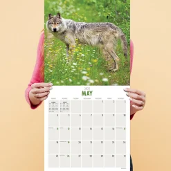 2025 Calendars|TF Publishing 2025 Wolves 12