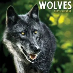 2025 Calendars|TF Publishing 2025 Wolves 7" x 7" Monthly Wall Calendar (25-2015)
