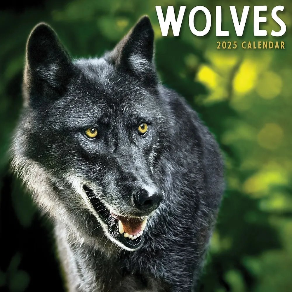 2025 Calendars|TF Publishing 2025 Wolves 7" x 7" Monthly Wall Calendar (25-2015)