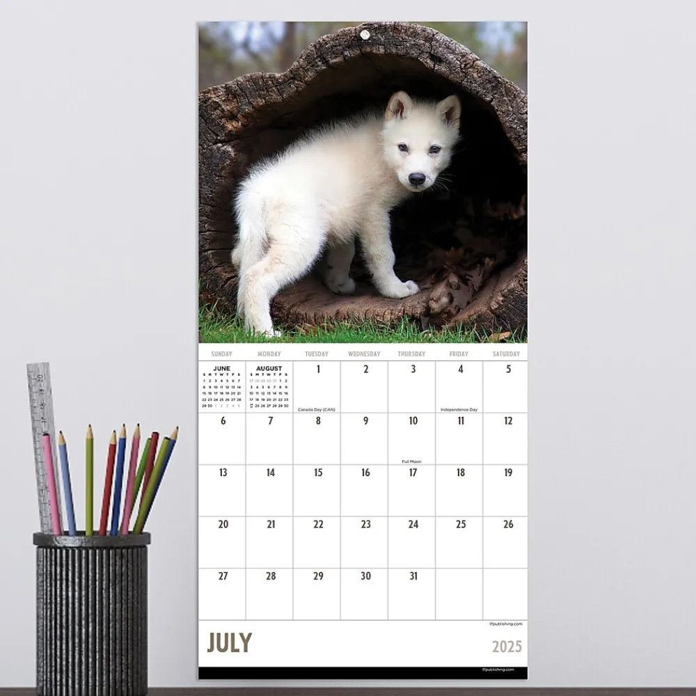 2025 Calendars|TF Publishing 2025 Wolves 7" x 7" Monthly Wall Calendar (25-2015)