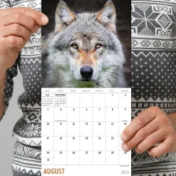 2025 Calendars|TF Publishing 2025 Wolves 7