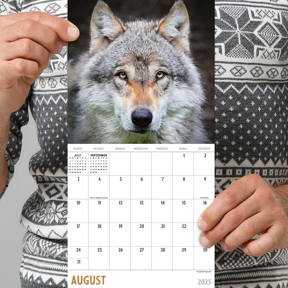 2025 Calendars|TF Publishing 2025 Wolves 7" x 7" Monthly Wall Calendar (25-2015)
