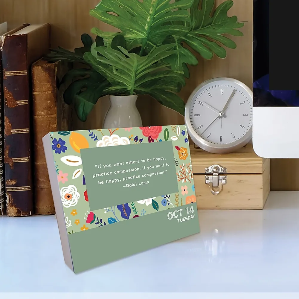 2025 Calendars|Willow Creek 2025 365 Days of Positivity 6" x 5.5" Day-to-Day Calendar (40553)