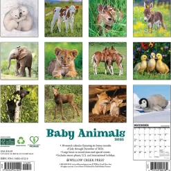2025 Calendars|Willow Creek 2025 Baby Animals 12" x 12" Monthly Wall Calendar (41529)