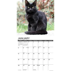 2025 Calendars|Willow Creek 2025 Black Cats 12