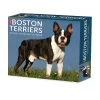 2025 Calendars|Willow Creek 2025 Boston Terriers 6" x 5.5" Day-to-Day Calendar (40683)