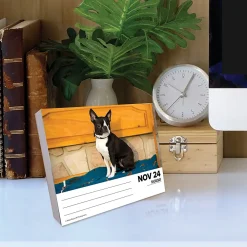 2025 Calendars|Willow Creek 2025 Boston Terriers 6