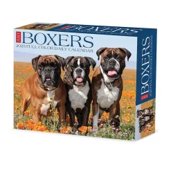 2025 Calendars|Willow Creek 2025 Boxers 6" x 5.5" Day-to-Day Calendar (40690)