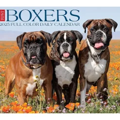 2025 Calendars|Willow Creek 2025 Boxers 6